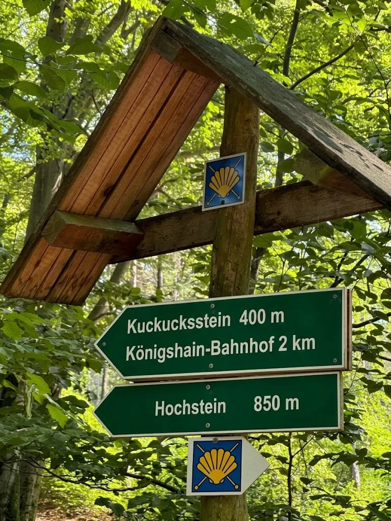 Wegweiser im Wald der Königshainer Berge mit der gelben Jakobsmuschel auf blauem Grund, darunter Schilder nach Kuckuckstein und zum Hochstein