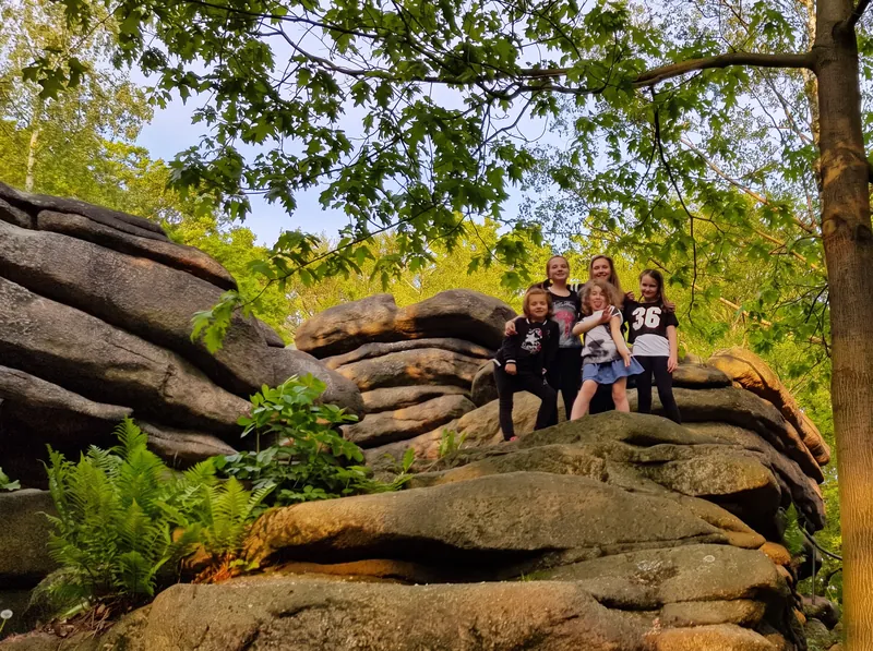 Fünf Kinder stehen lachend oben auf den Granitfelsen der Felsenanlage neben dem Spielplatz, ringsum Laubbäume und Farn im Abendlicht